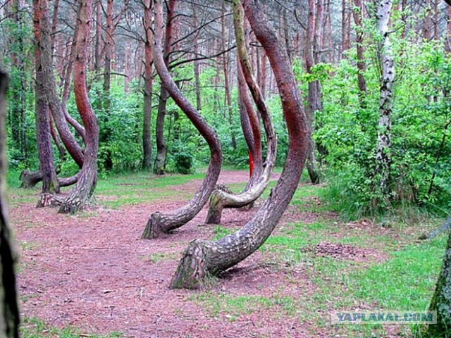Картинки. Интересные, старые и не очень.