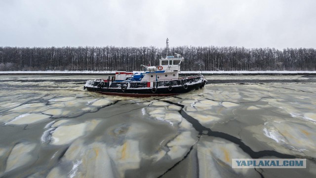 Долгопрудный (фото)