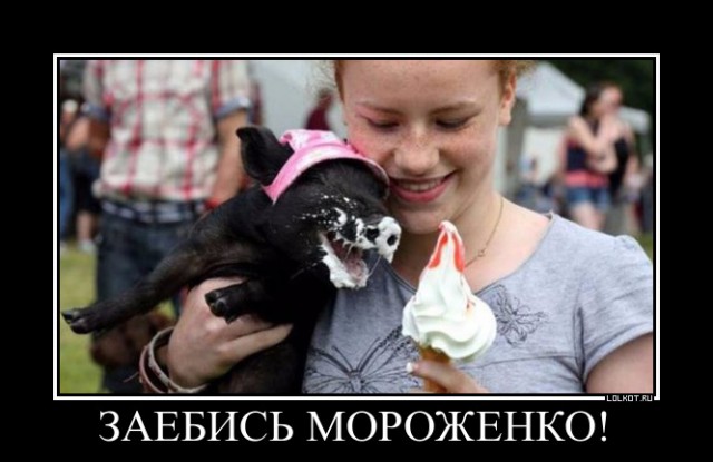 Разные картинки