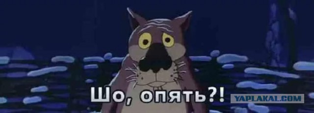 Школьники выложили видео секса, чтобы их не обвинили в изнасиловании