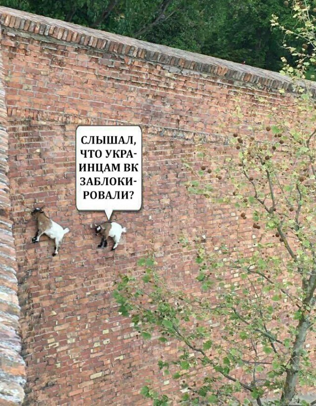 Когда пытаешься избежать неприятного разговора