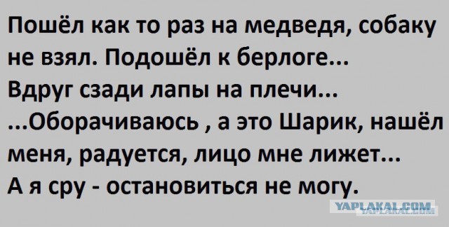 Подборка шуток и приколов в "открытках"