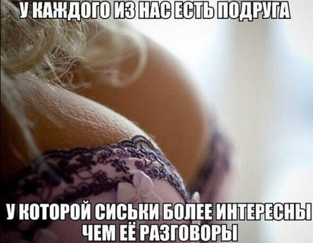 Прикольные картинки 27.06.2017.