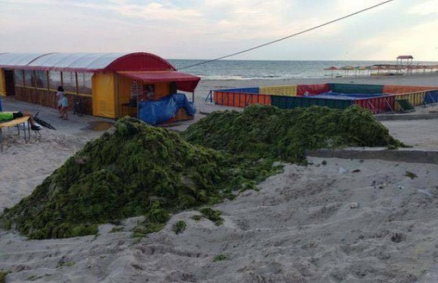 Водная блокада Крыма превращает юг Украины в огромное болото.