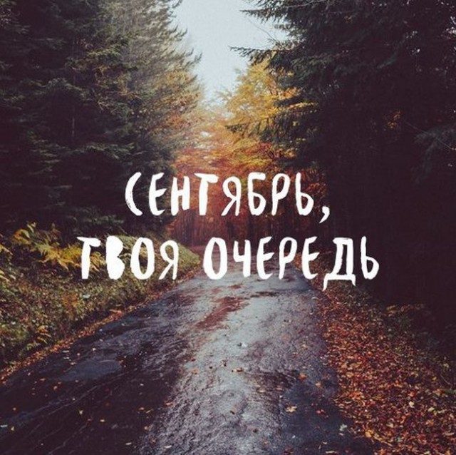 150 картинки для поднятия настроения!