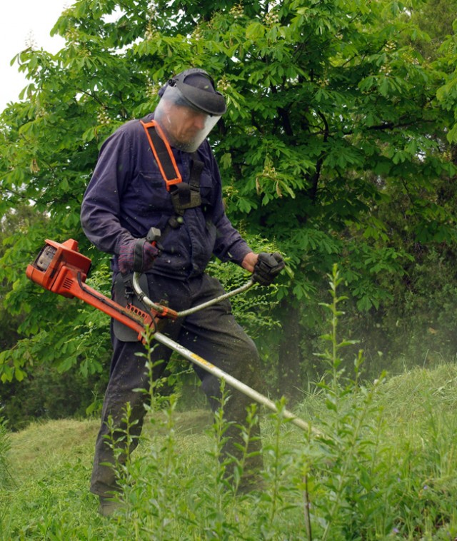 10 птиц, которых стоит избегать