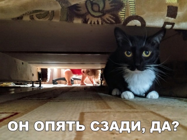 Немного милоты