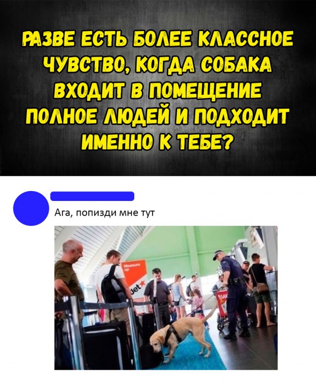 Не очень адекватный юмор