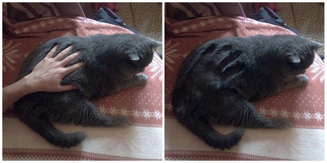 Немного милоты