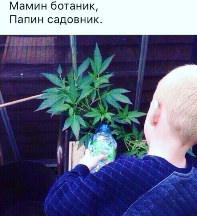 Наркомания, весеннее обострение и деградация