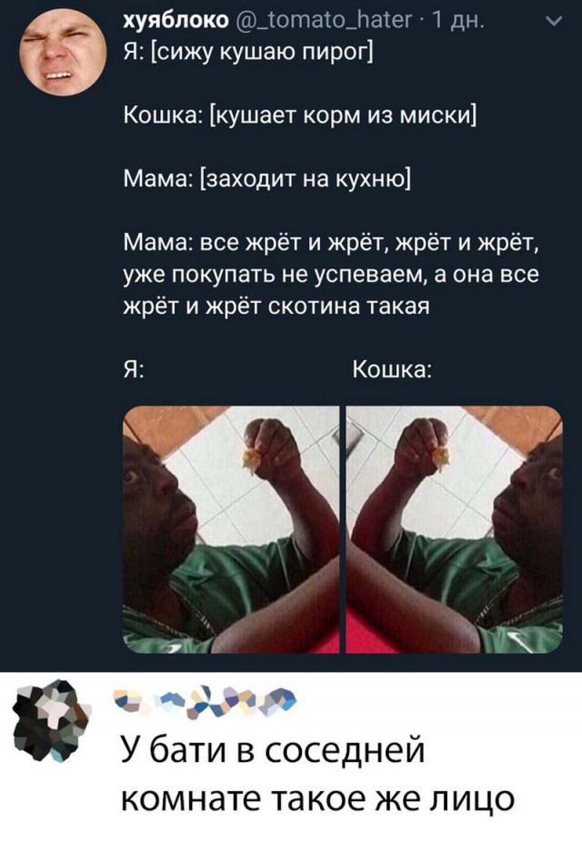 Дважды незамужняя и двое в багажнике. Переписок пост