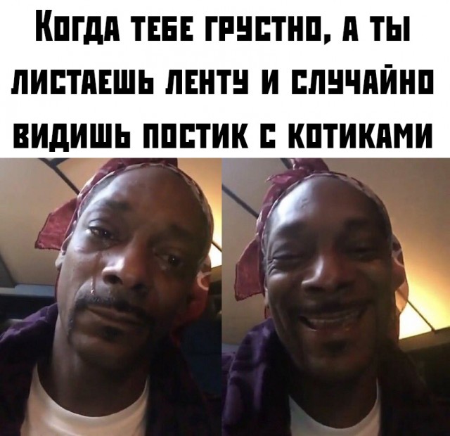 Картинки с надписями, истории и анекдоты 05.11.19
