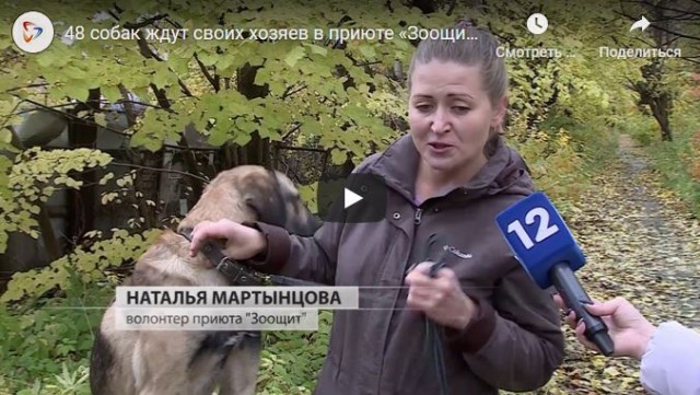 Охотницы за женатиками, или волонтёрши приютов города Череповца