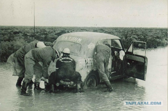 Главные модели в истории Datsun
