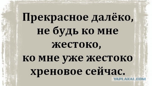 "Овуляшная демократия": как наши женщины выбирают будущее страны и должно ли у них быть на это право