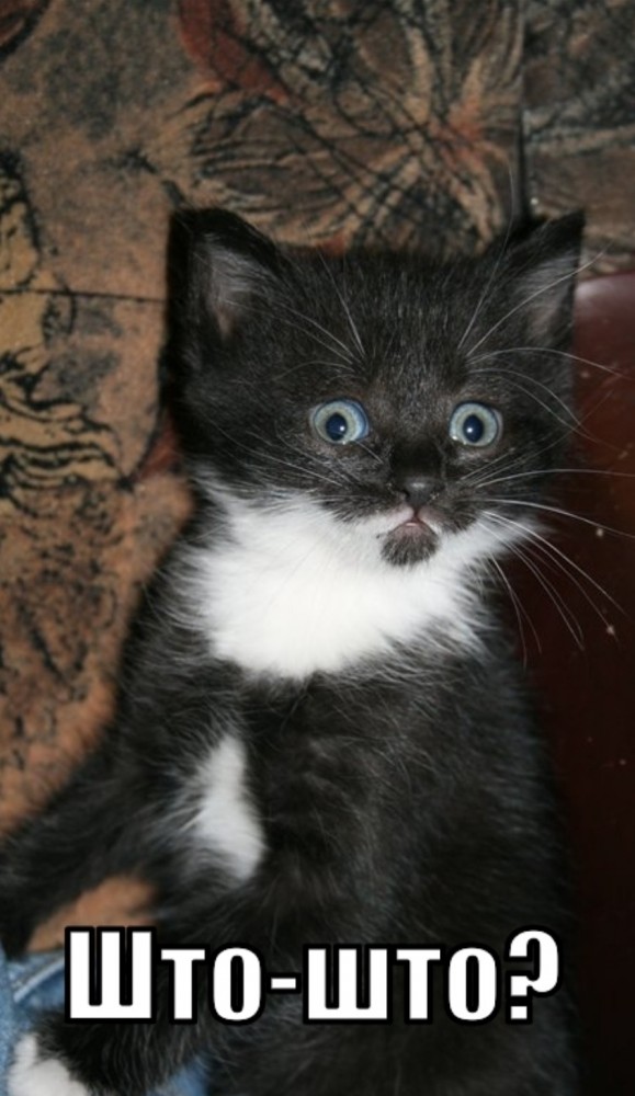 Усе што. Стихи на белорусском языке для детей. Фразы на белорусском языке. Кто такой змагар. Шнф всё пропало.