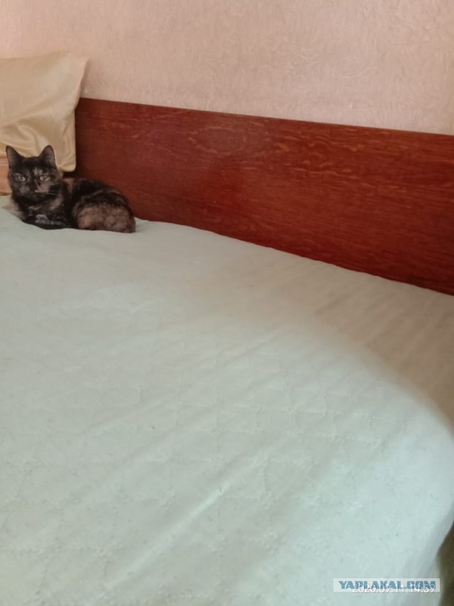 Предметы советского быта, которые до сих пор в строю