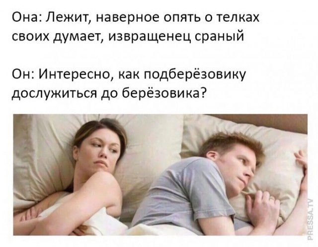 Немного картинок для настроения 02.11.20