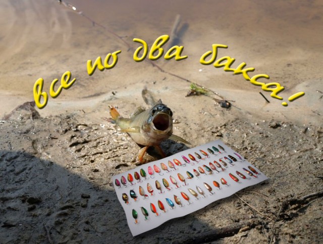 Фотожаба: "Чо?"