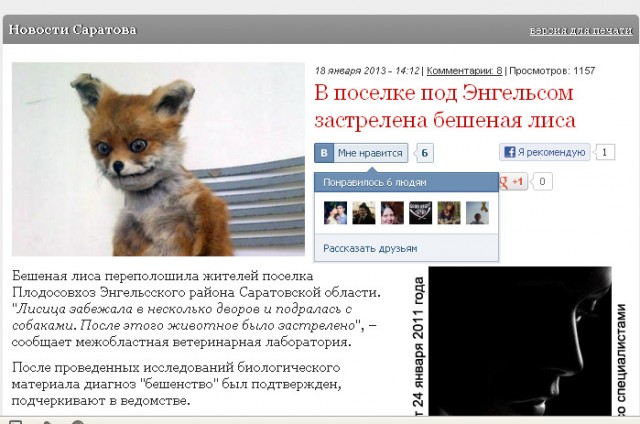 Таксидермия + наркомания