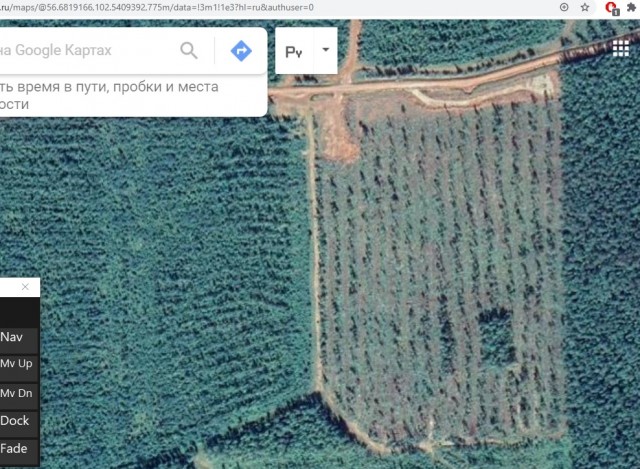 Тайги больше нет, уже всё продали и бездарно потратили на дворцы и яхты