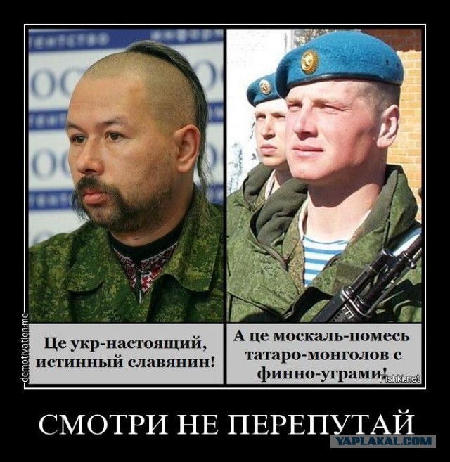 Украинский беспилотник атаковал село Александровское. Погибла 4х летняя девочка.
