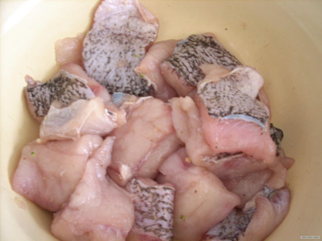 Все из рыбы!