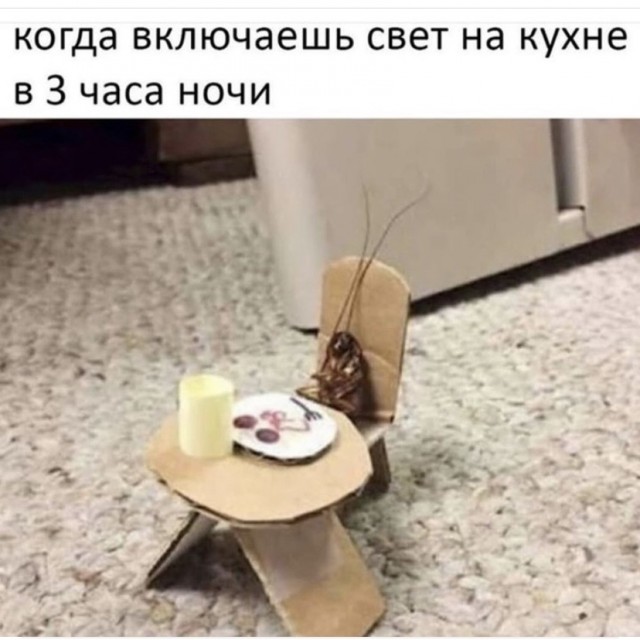 Весёлый полтишок 7.07