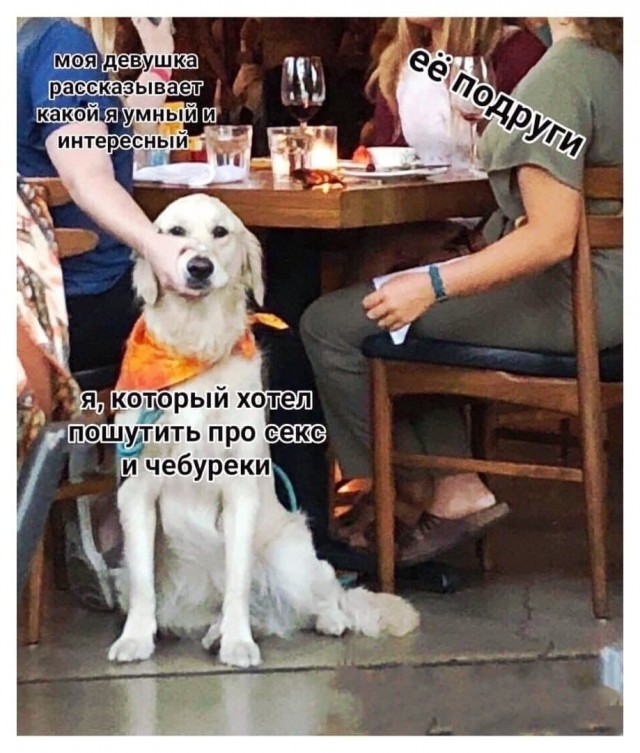 Мемасы (Пошлятина и мат)
