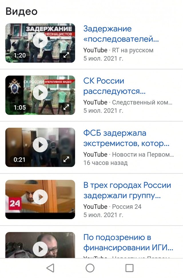 В Красноярске задержали группу скинхедов, нападавших на людей