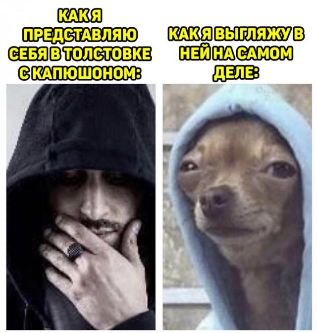 Весёлый полтишок 02.11