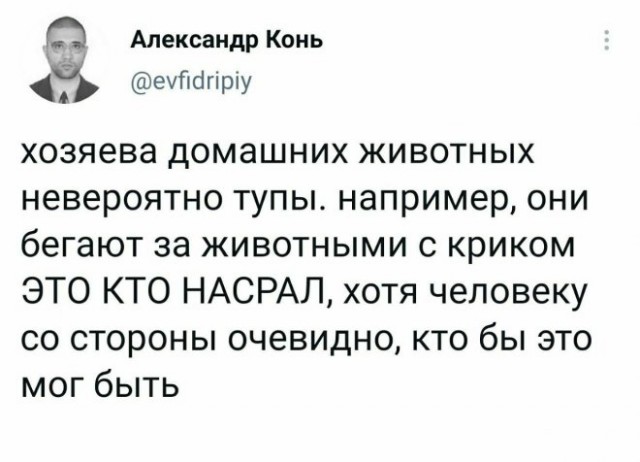 Картинки и мемы для настроения 21.12.21