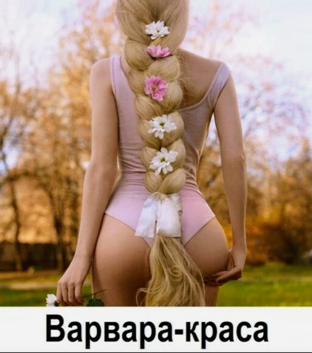Человек собаке друг и другие картинки и мемы  под настроение