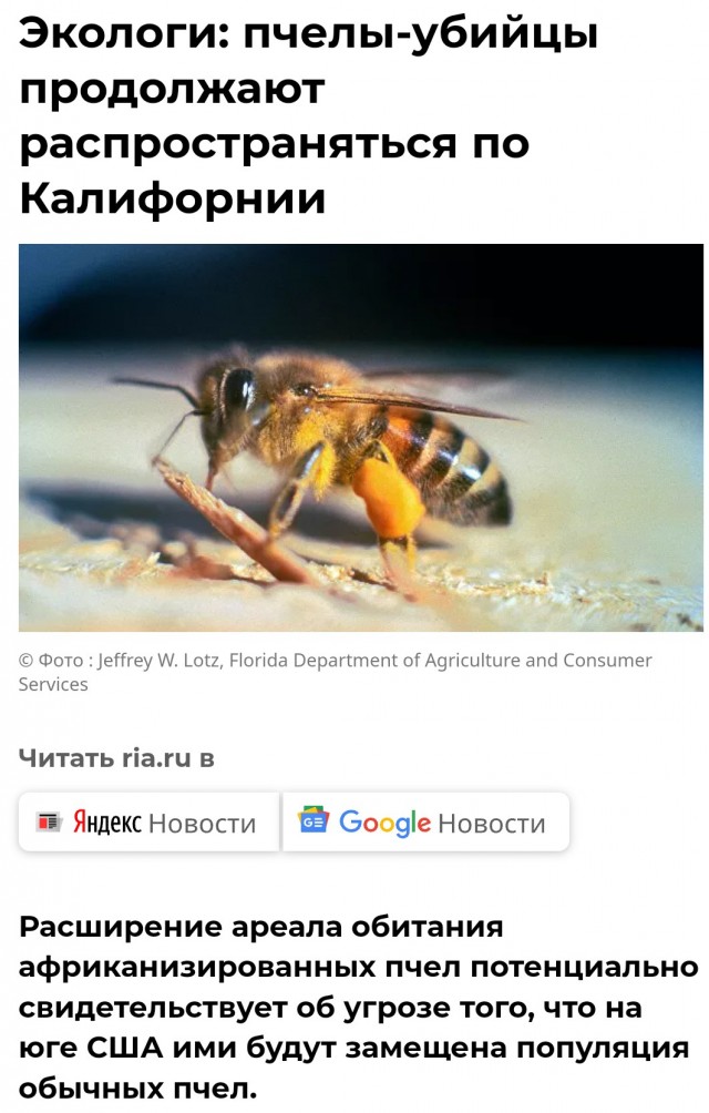 Жители Башкортостана митингуют против вторжения французских пчёл