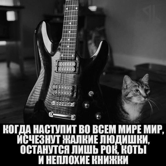 Картинки с надписями и всякие жизненные фразы