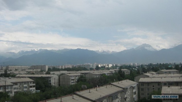 Алматы 2011: город контрастов