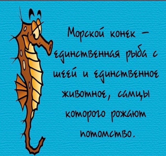 70 удивительных фактов