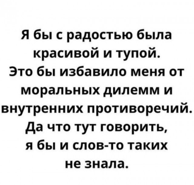 Аморалка Лайт