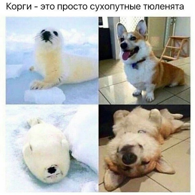 Так себе картинки 15.05.22