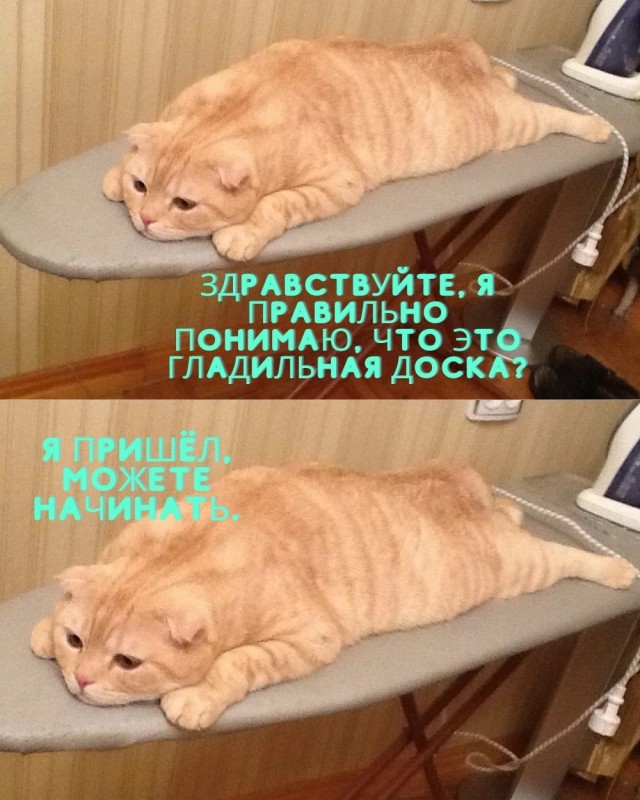 Картинки и мемы для настроения, выходные не за горами