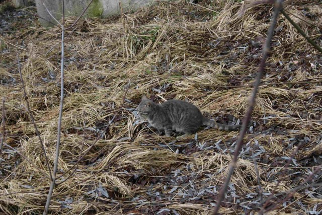 Моя поездка в Чернобыль