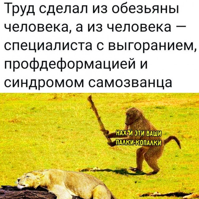 Картинки и мемы для настроения - 03