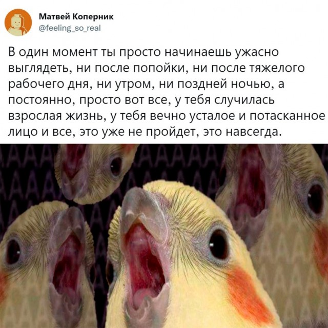 Весёлый полтишок 5.08.22