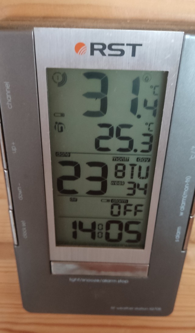 Скорее бы эта долбаная жара закончилась и дожди полили...