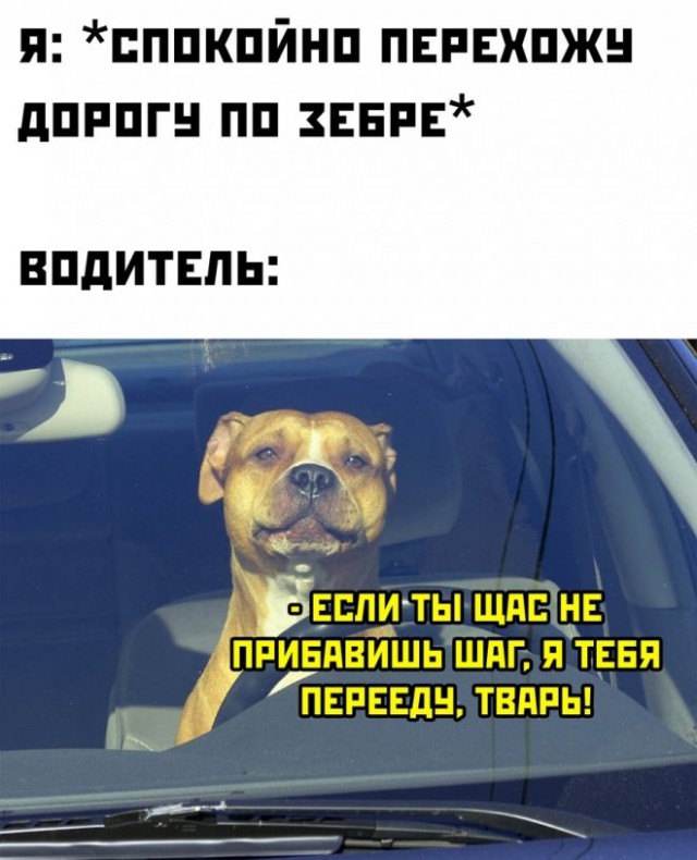 Картинки и мемы для настроения - 31