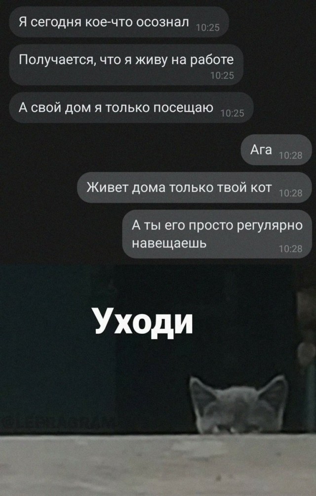 Так себе картинки 30.10.22