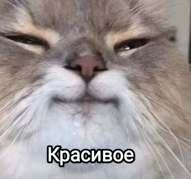 Девушки.Вид сзади 30.10.22