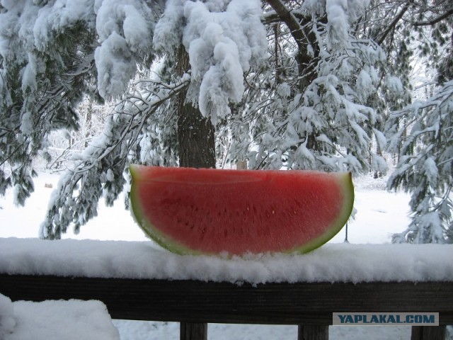 Деревенская Америка