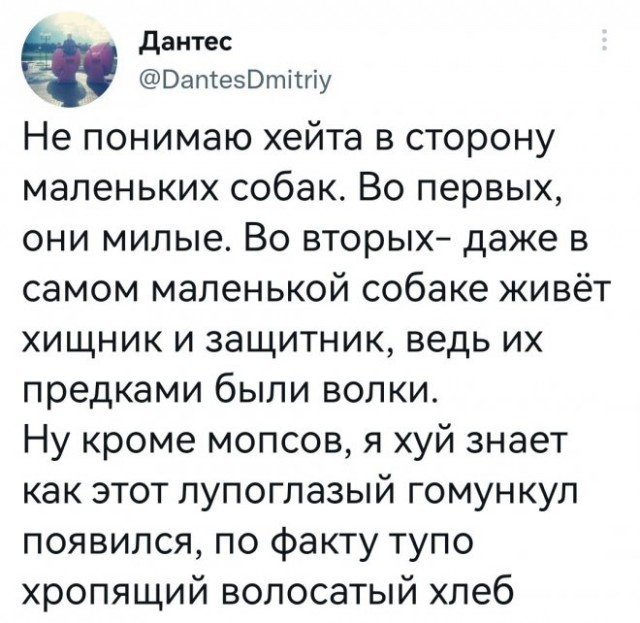 Немного картинок для настроения - 139