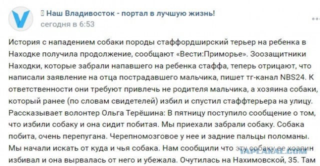В Приморье бездомная собака напала и изуродовала ребенка, а зоозащитники написали заявление на отца, который спас сына